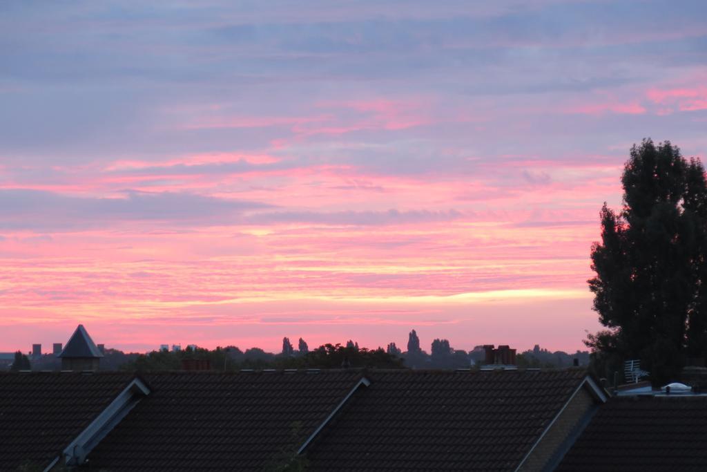 Southfieldsb&Bstudios London Exteriör bild